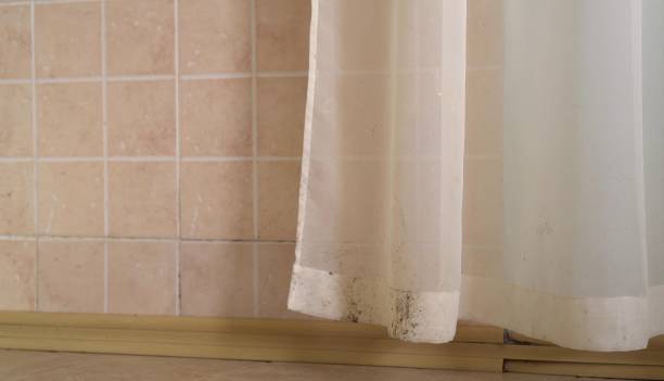 Best Water Damage & Mold Remediation  in Chittenango, NY